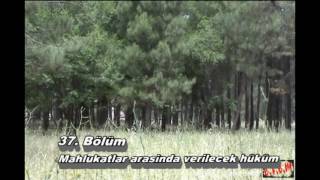 Allah, kullarına şöyle seslenir