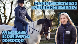 Accidents, Rehabbing and Making A Claim | Horse Insurance with SEIB Insurance Brokers | Episode 2