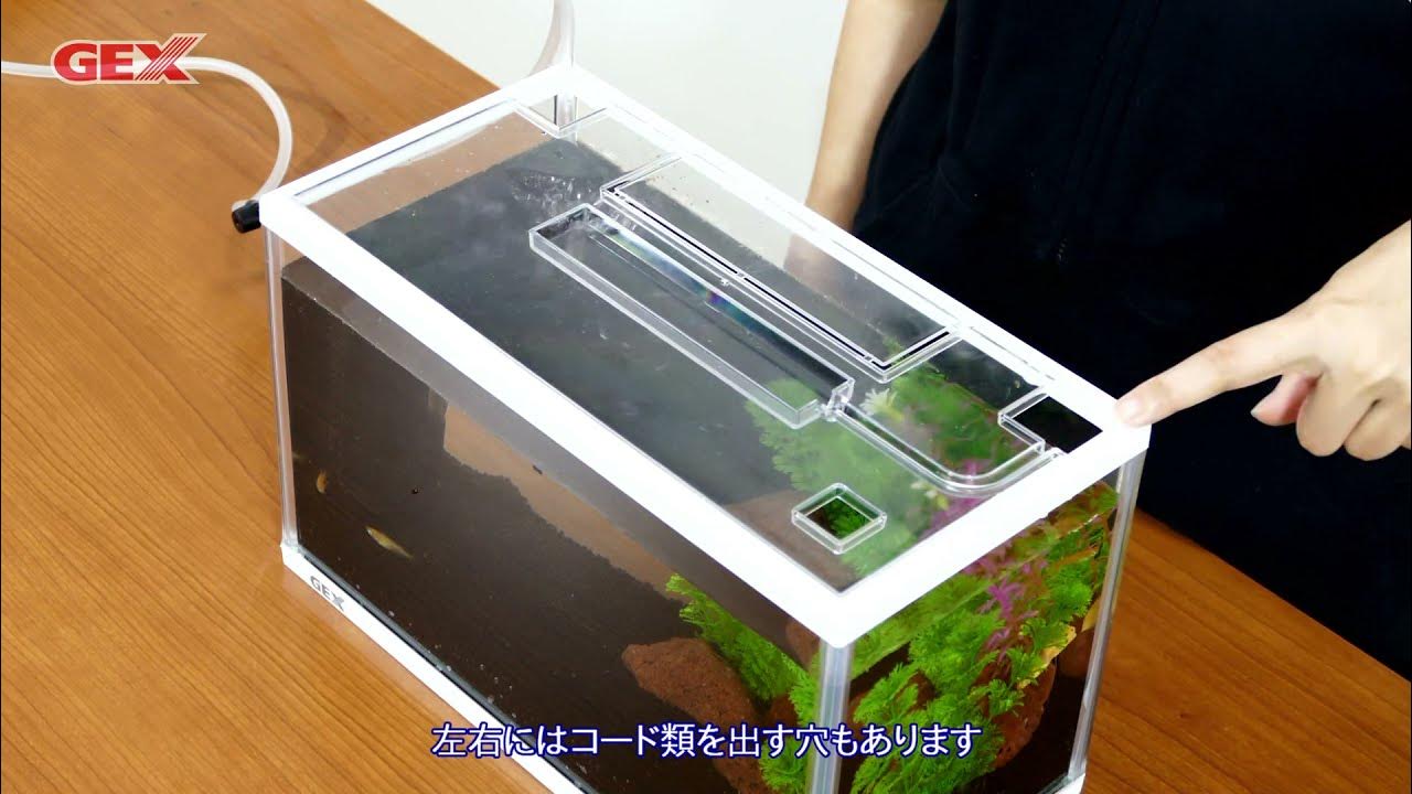 22水槽セッティング動画 メダカ元気メダカのための水槽セット セッティング 解説 Youtube