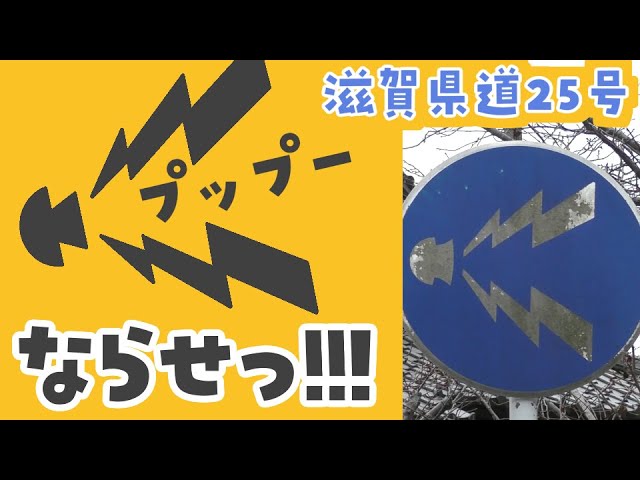 It might be noisy] I honked my horn at the 