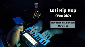 Lofi Hip Hop - You Ok? | Launchkey Mini - Ableton Live [NIFORGE Studio]