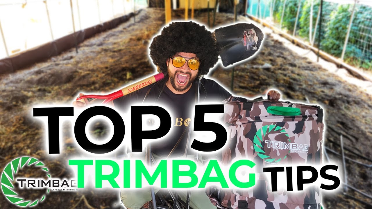Top 5 Tips for Your Trimbag Dry Trimmer