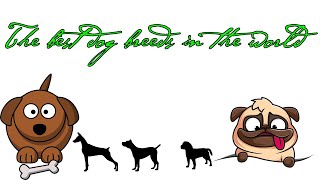 The Best Dog Breeds In The Worldeldad75