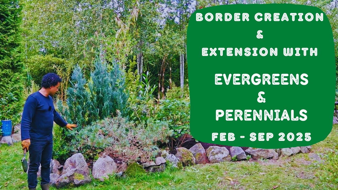Создание и расширение бордюров с помощью вечнозелёных и многолетних растений (февраль - сентябрь ...