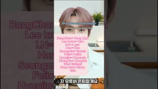 Stray Kids Üyelerinin Okunuşları Şfet Şfetbeniöneçıkar