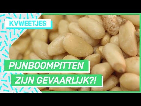 Video: Wat is het leefgebied van een pijnboom?