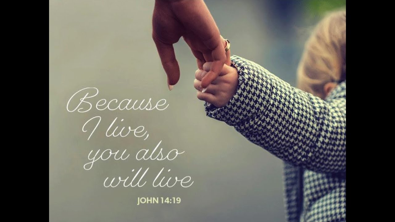 Because I Live You Also Will Live John 14 19 YouTube because-i-live-you-also-will-live-john-14-19-youtube