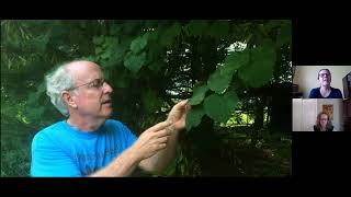 Native Plants of Cape Cod with Kristin Andres of APCC