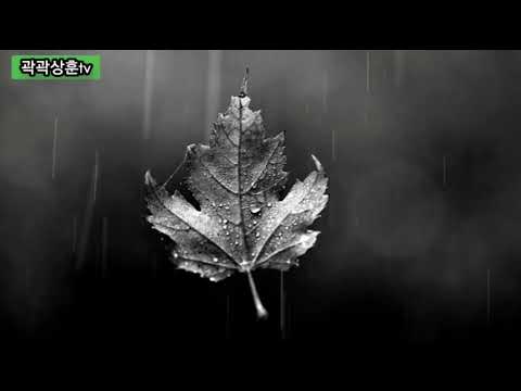 잔향 (이연주 작시 윤학준 작곡) 바리톤 곽상훈