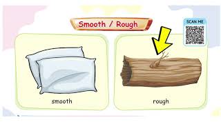 Celebrity Concept of Smooth/Rough Wealth