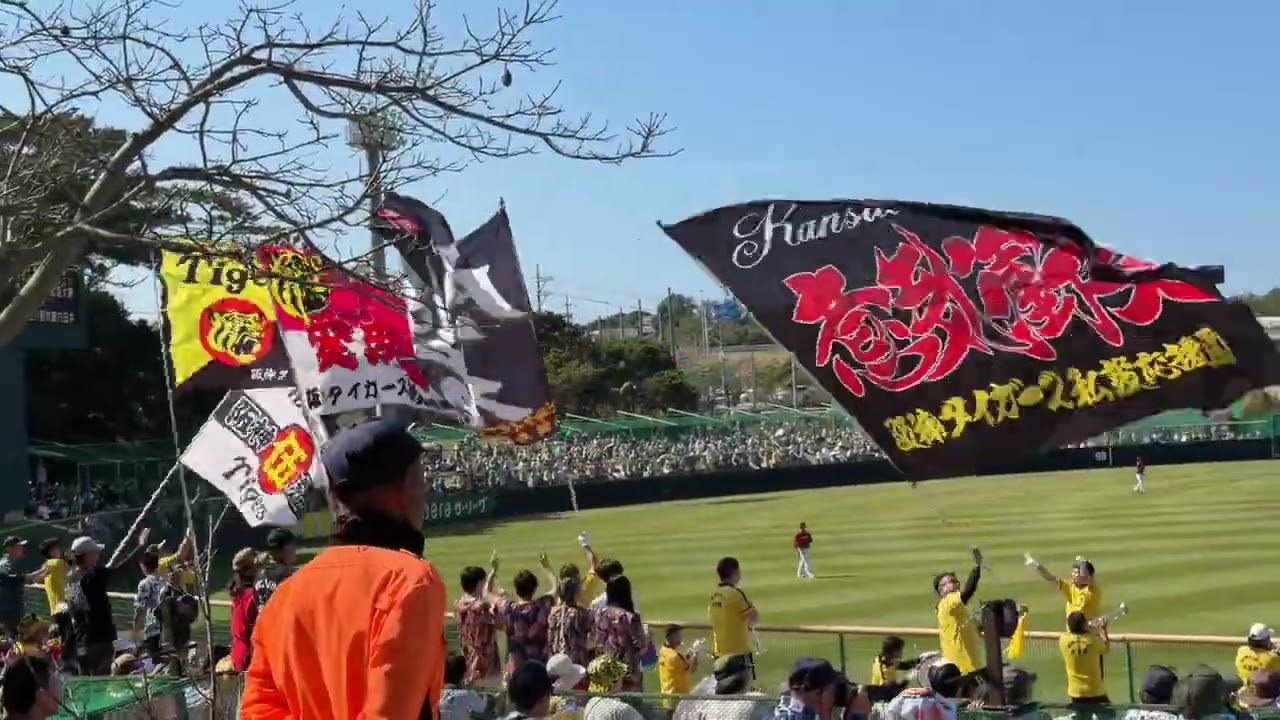【今季初練習試合】阪神タイガース宜野座キャンプ｜沖縄春季キャンプ応援風景2026