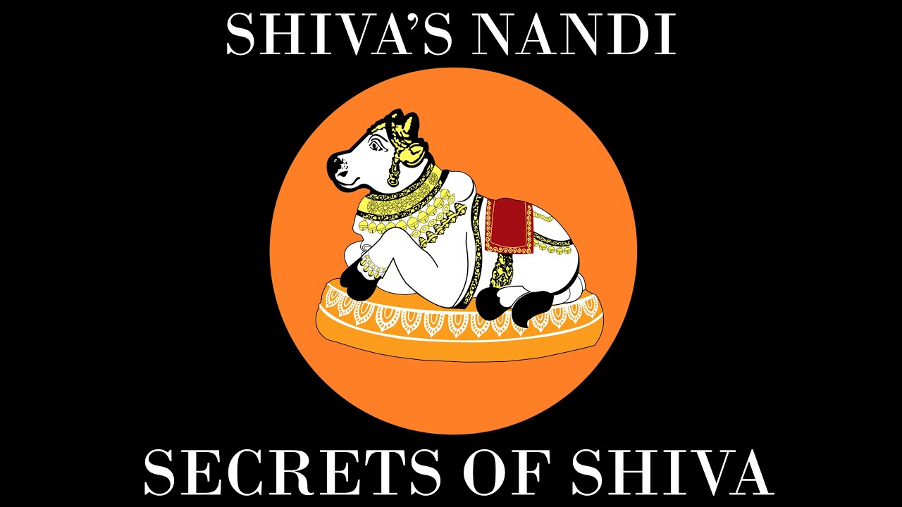 shiva-s-nandi-the-meaning-of-the-sacred-bull-secrets-of-shiva-the
