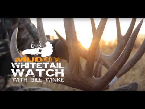 Early Season Deer Hunting Tactics | Muddy Whitetail Watch (EP 1)