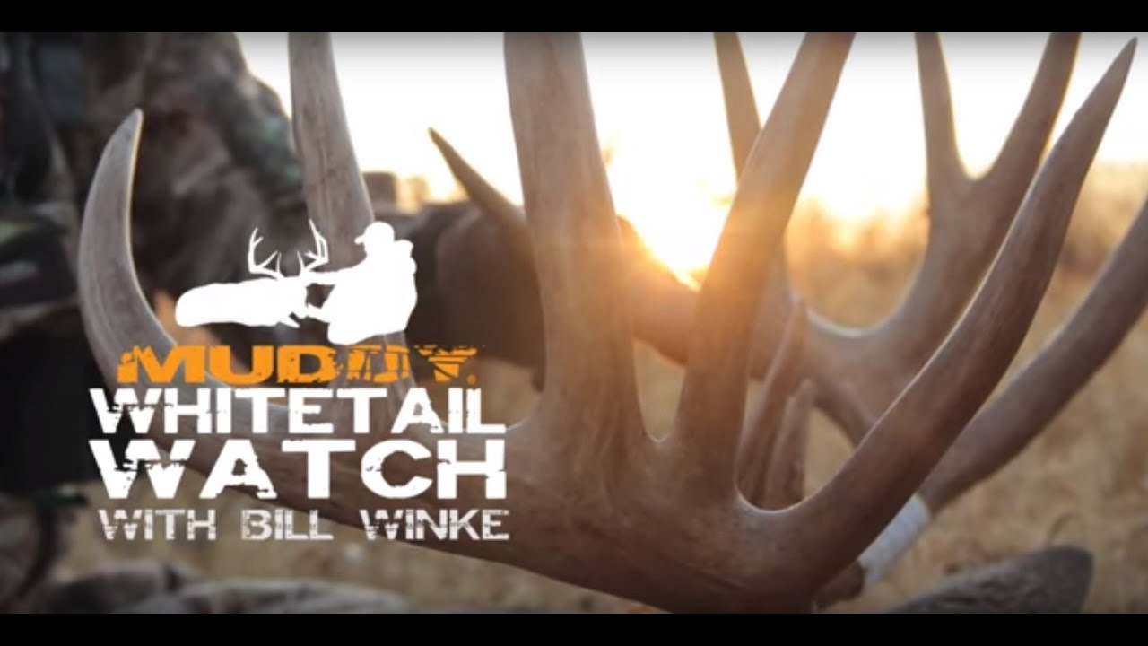 Early Season Deer Hunting Tactics Muddy Whitetail Watch (EP 1) YouTube