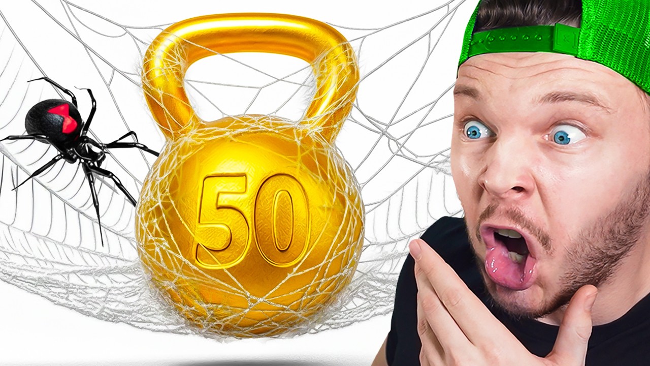 Quel Poids une Toile d'Araignée peut-elle supporter ?