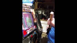 Ｇｆｖ３　Ｍｉｃｒｏ　Ｆｉｎ　Ｓ