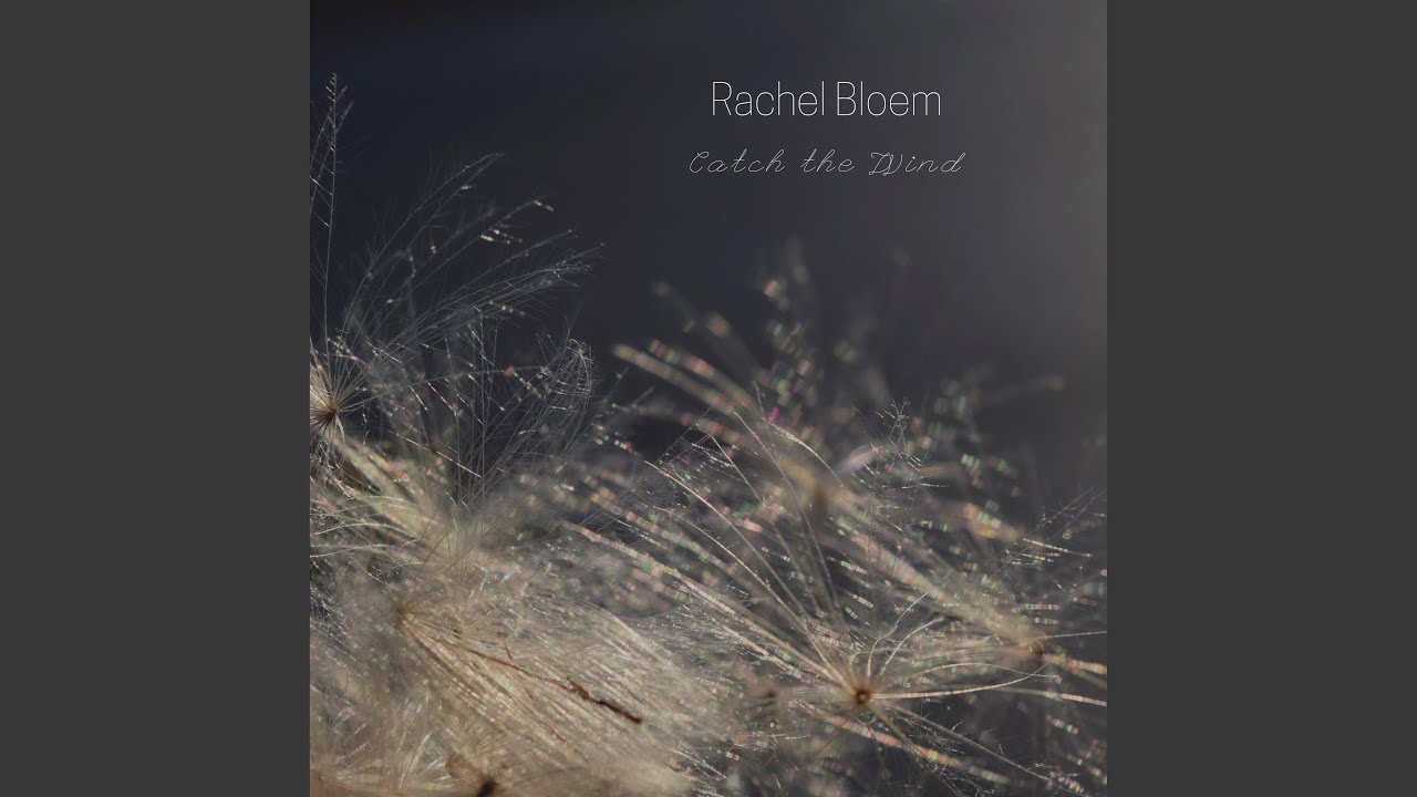 Watch Catch the Wind on YouTube Watch Catch the Wind on YouTube