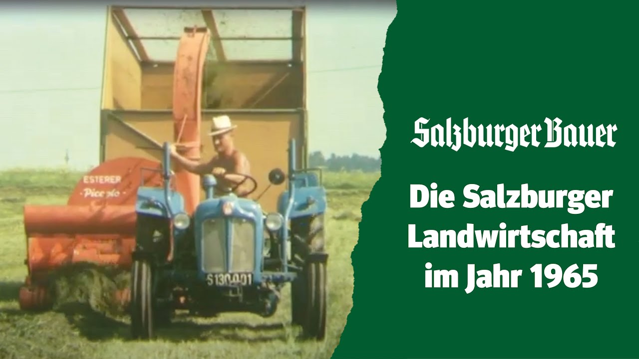Landwirtschaft vor 60 Jahren – Schwedenreiter im Berggebiet und erste Feldhäcksler im Flachland –