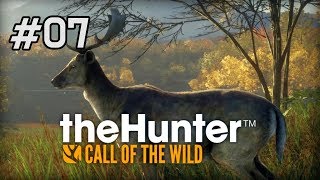 [Episode 7] Want a proper hunting game? - theHunter screenshot 5