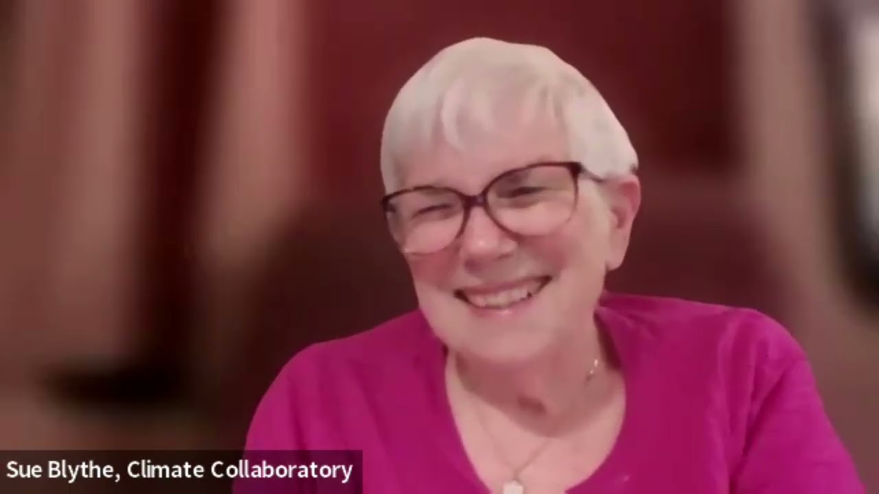 11 Days of Global Unity Summit Panel on ENVIRONMENT with Sue Blythe