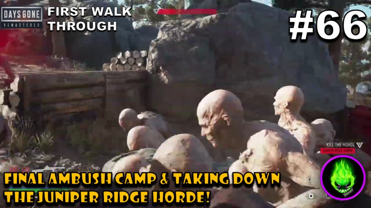 Days Gone Remastered | Засадный лагерь на дороге фургонов | Орда Джунипер-Ридж