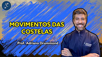 Como ocorre a mecânica respiratória denominada pelo movimento alça de balde?