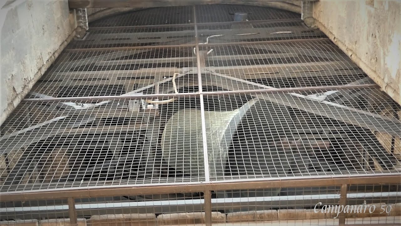 Le campane del Duomo di Firenze (2) - Suonate feriali