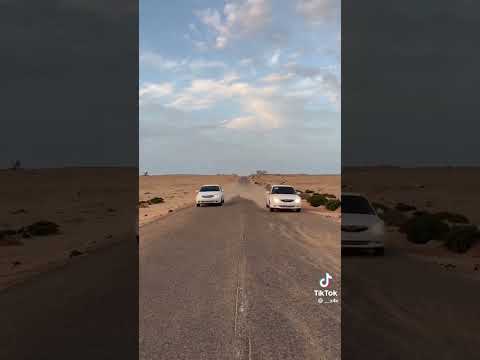 ٢٣ نوفمبر ٢٠٢٤
