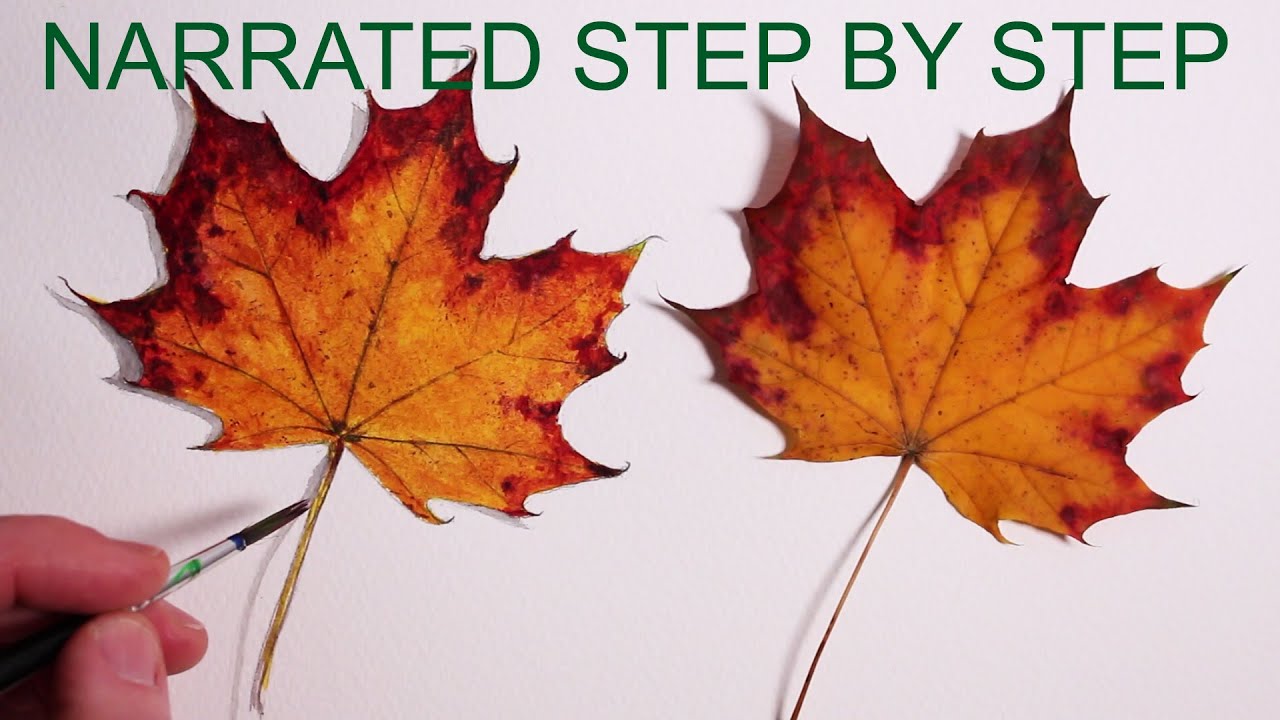 How to Draw a Leaf: Narrated Step by Step - YouTube