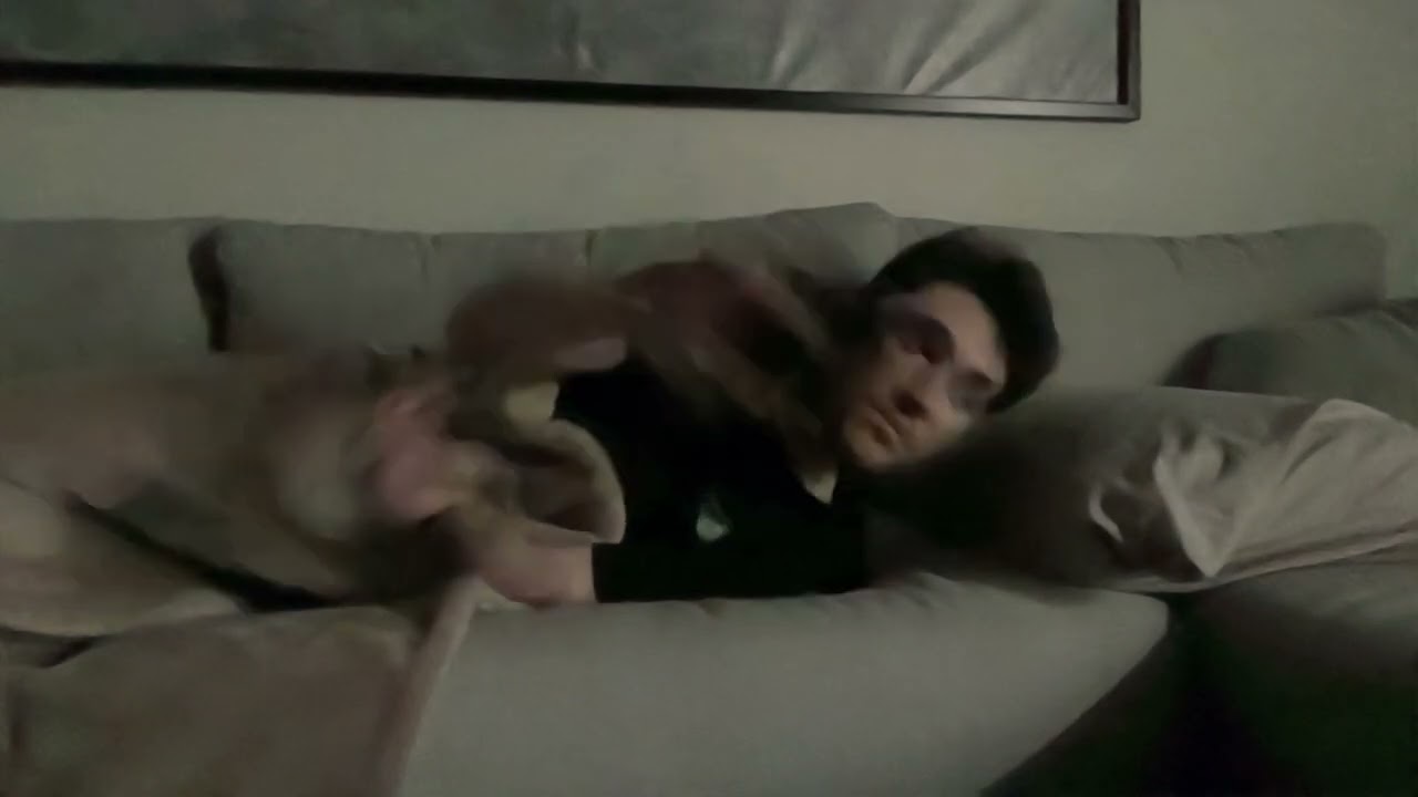 [May 14, 2025] back to sleeping on the couch lol