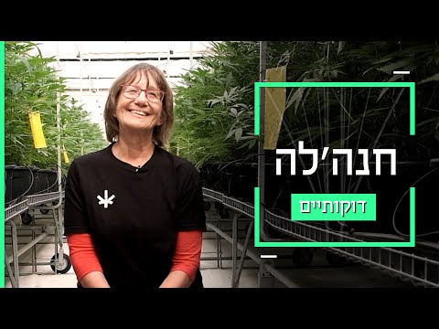 וִידֵאוֹ: יקבים בדרום אריזונה