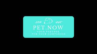 iklan PET Now screenshot 3