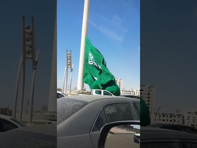 THE LARGEST FLAG IN THE WORLD  #Shorts class=