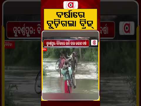 ବର୍ଷାରେ ବୁଡ଼ିଗଲା ବ୍ରିଜ୍ | Bridge Submerged | Odisha Rain | Odisha Flood | Argus News