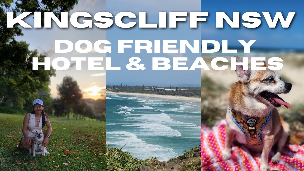 Pet Friendly Beaches & Hotel near Kingscliff NSW Tropical Coast