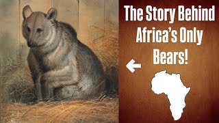 Africa’s Lost Bears: What Really Happened?
