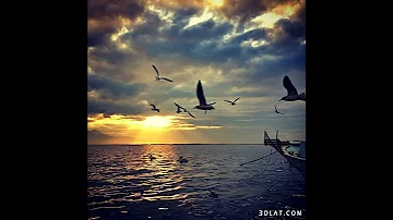حالات واتس اب حزينا يا بحر عطفك علينا 