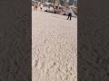 Sun Sand Beach &amp; Brunch #dubai