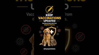 💉 Keep vaccinations updated✅ #ytshorts #petlovers #petparents #facts