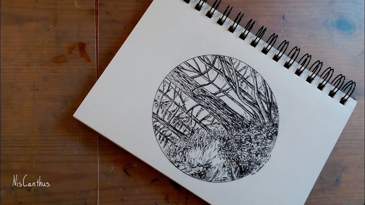 Ink Drawing Timelapse | Inktober 2017 Day 31