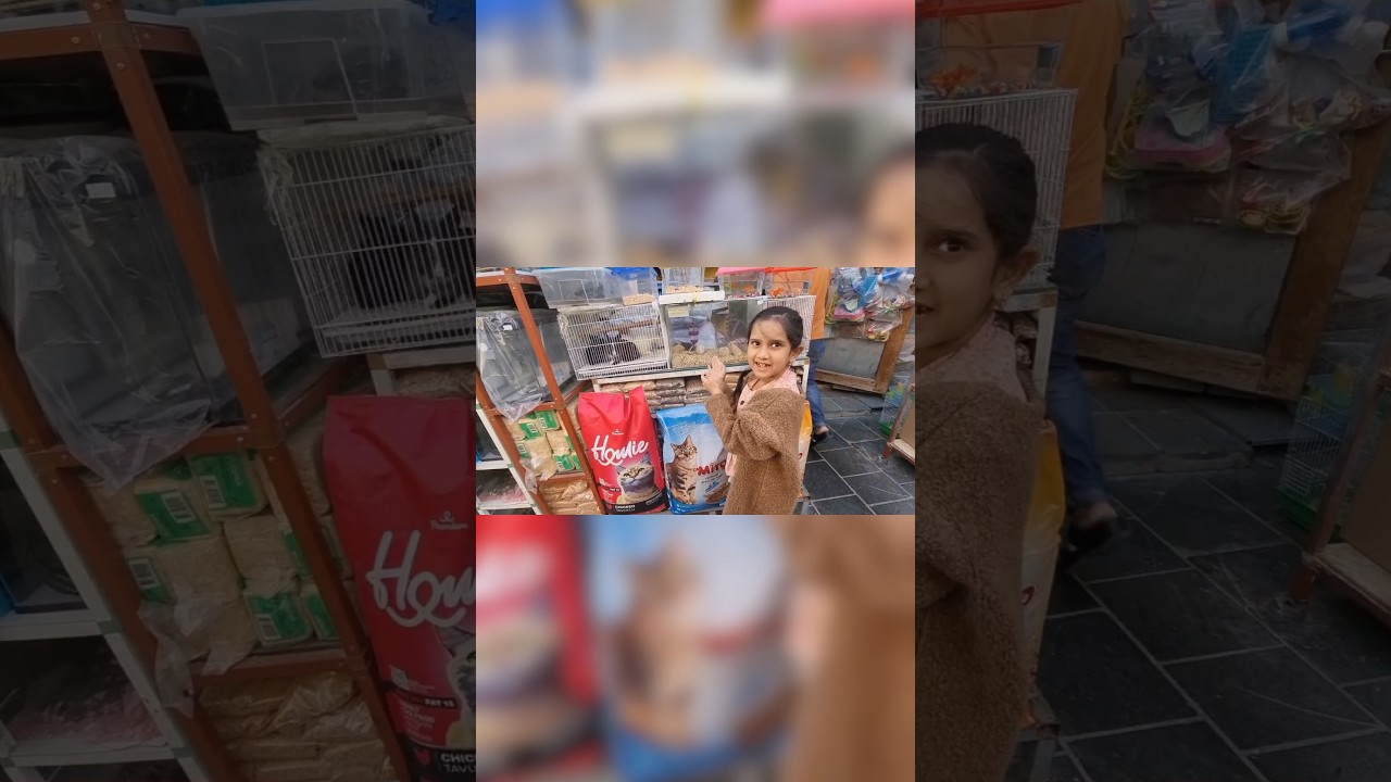 Did you ever see Hamster?