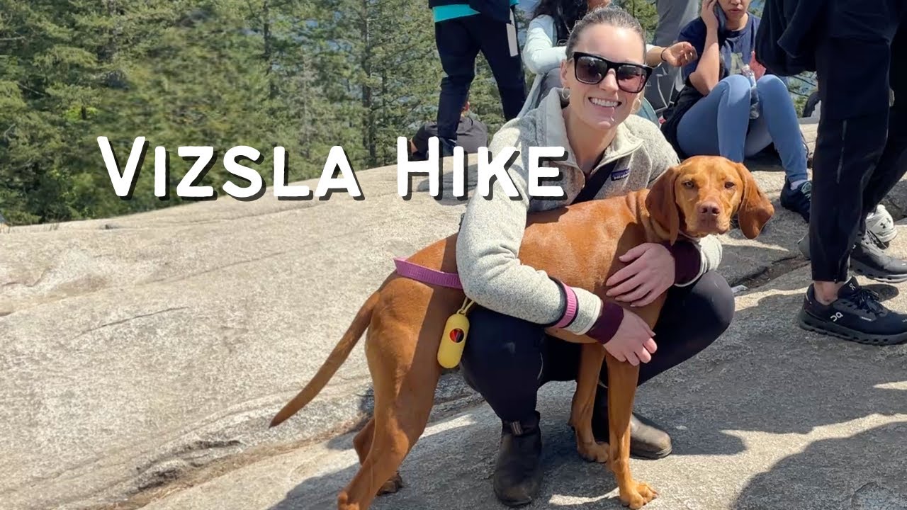 Quarry Rock Hike with My Vizsla | Stunning Views of Deep Cove