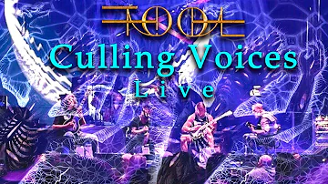 TOOL CULLING VOICES LIVE 2022. Remastered Sound, MultiCam.