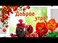 ☕️ Доброе воскресное утро! 🌸 Прекрасного дня! Музыкальная видео открытка.