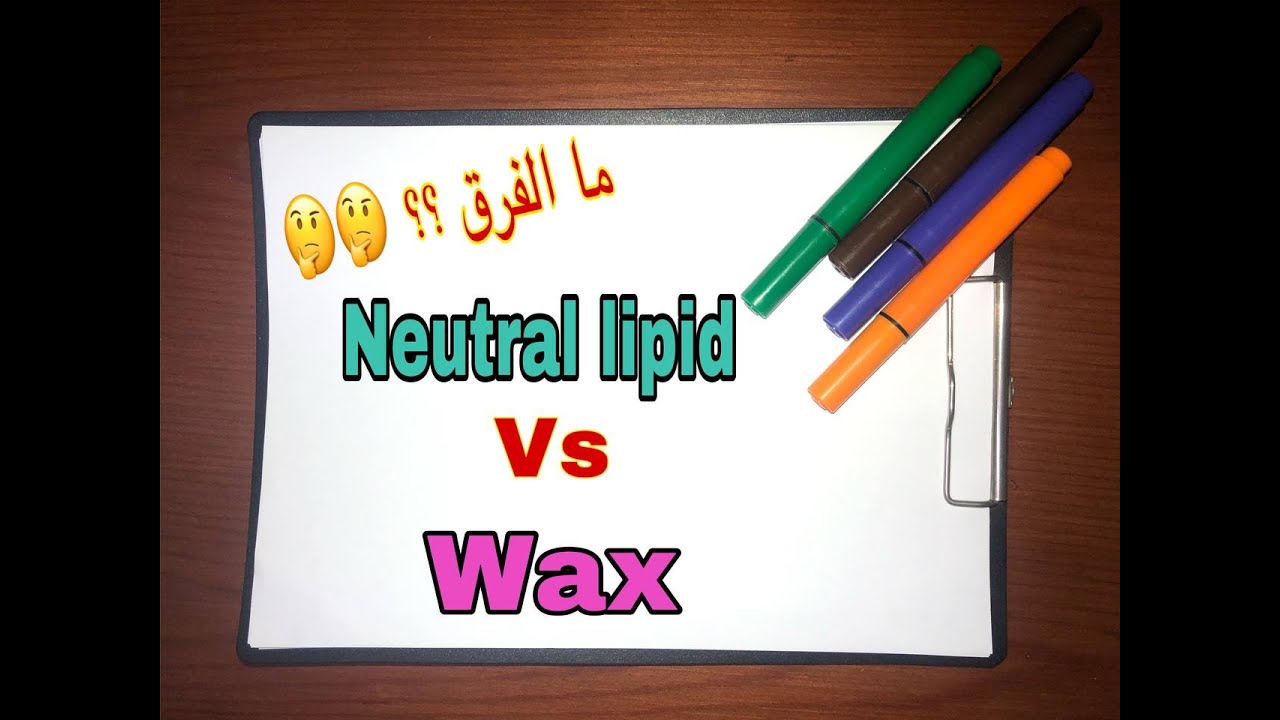 Biochemistry compare between Neutral lipid & Wax YouTube