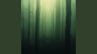 Drifting Leaves