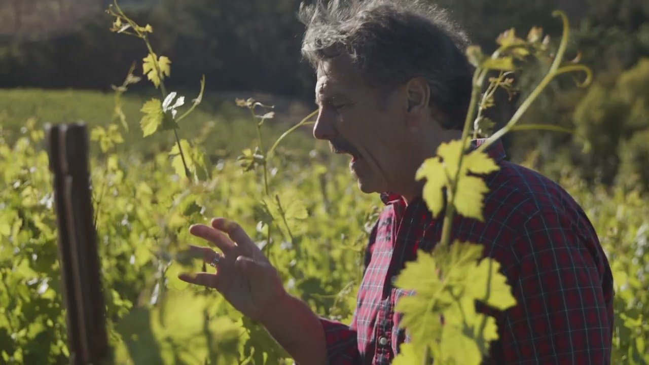 Chris Carpenter Shares Why Cabernet Franc is Napa’s Unsung Hero (extended cut)