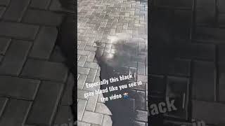 Colored sanding options ?! 😱