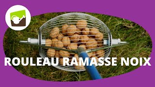 Ramasse Noix - Ramasse Noisette - Ramasse Pomme - Ramasse Noisette Ramasse  Noix Avec Manche - Rouleau Collecteur De Glands - Châtaignes Rouleau  Ramasseur - Rouleaux Ramassage De Noix Réglables : : Cuisine  et maison