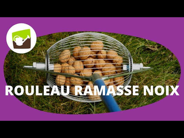 Le ramasse noix : l'outil idéal pour récolter vos noix, châtaignes, glands  et noisettes facilement ! 